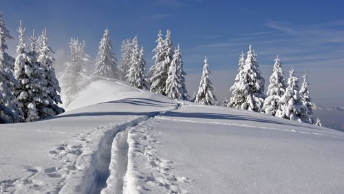 Escursione invernale