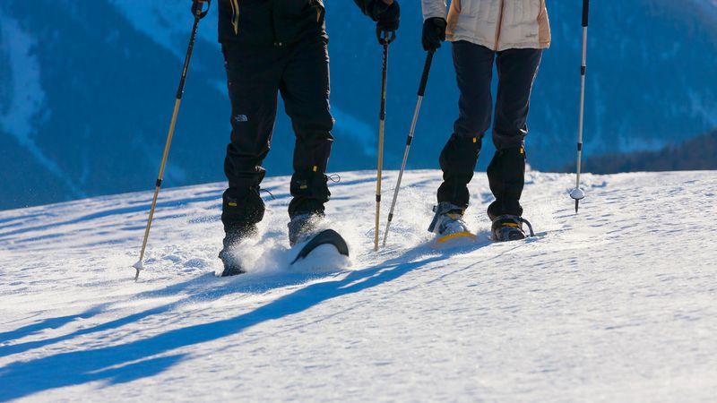 Winteraktivitäten